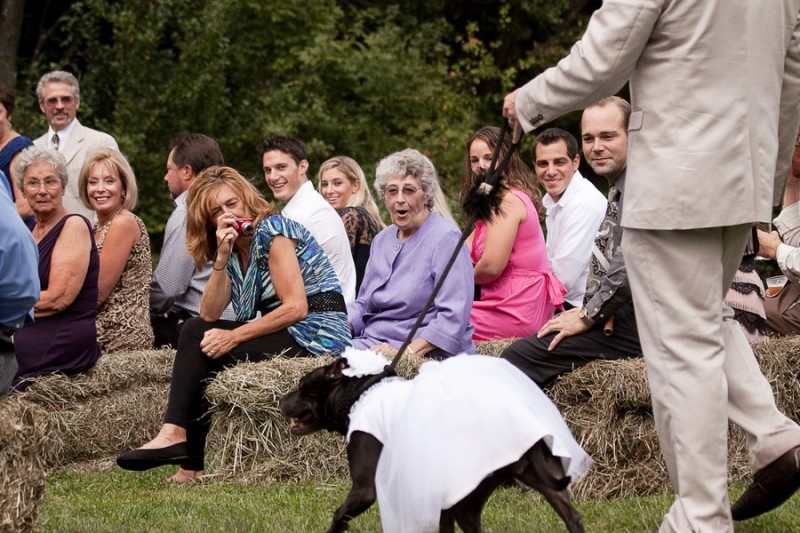 Photograph of ring bearer by Connecticut Wedding Photographer